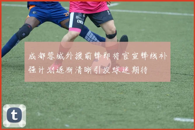 成都蓉城外援前锋即将官宣锋线补强计划逐渐清晰引发球迷期待